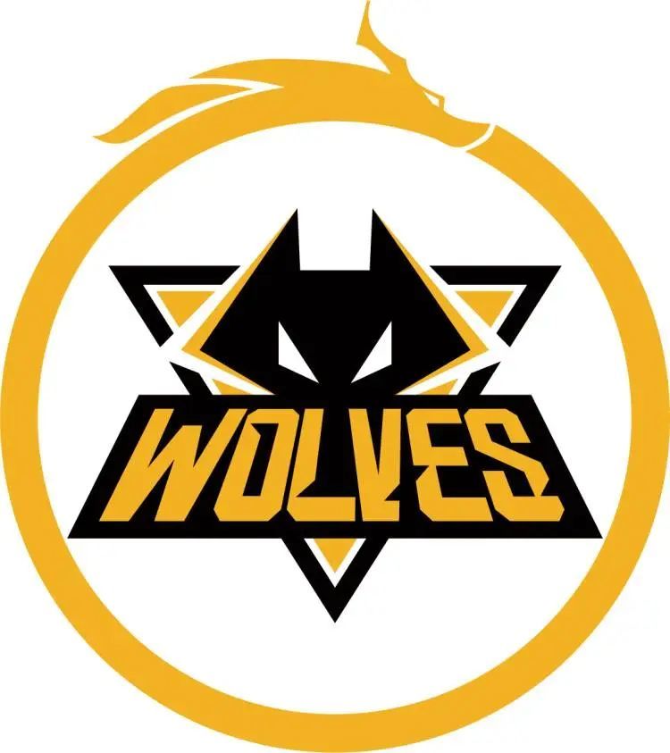 Leo Faria 评论 VCT EMEA 问题 — 来自 SUYGETSU 的问题细节